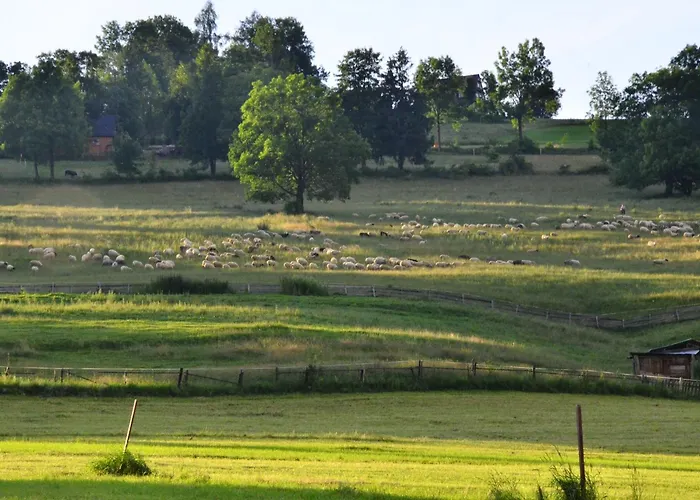 Feriehus Walczakow -blue Cave Zakopane